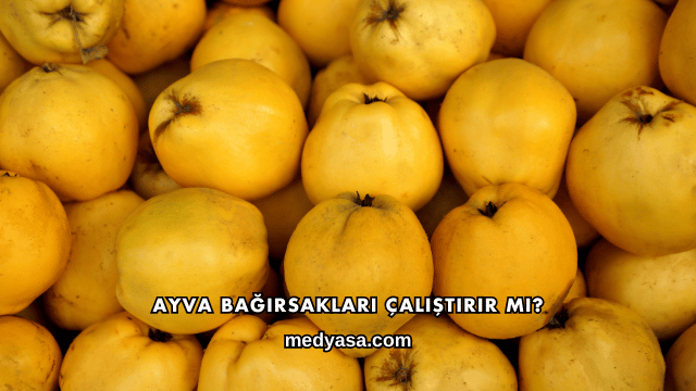 Ayva Bağırsakları Çalıştırır mı?