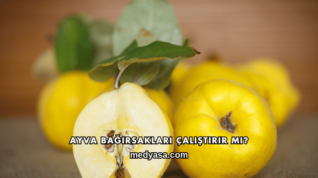 Ayva Bağırsakları Çalıştırır mı?