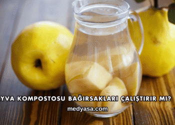 Ayva Kompostosu Bağırsakları Çalıştırır mı?