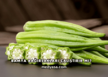 Bamya Bağırsakları Çalıştırır mı?