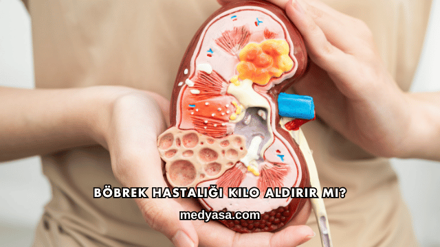 Böbrek Hastalığı Kilo Aldırır mı?