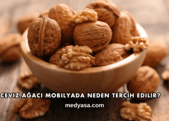 Ceviz Ağacı Mobilyada Neden Tercih Edilir?