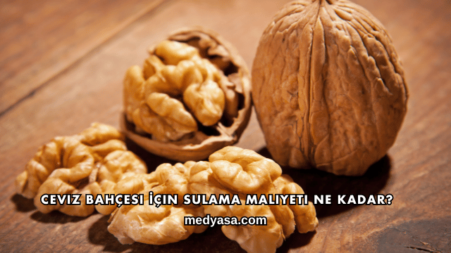 Ceviz Bahçesi İçin Sulama Maliyeti Ne Kadar?