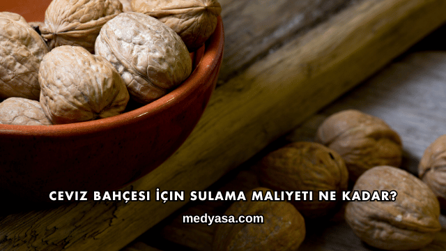 Ceviz Bahçesi İçin Sulama Maliyeti Ne Kadar?