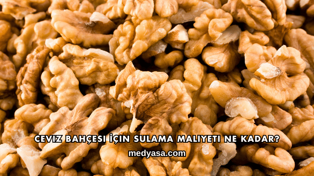 Ceviz Bahçesi İçin Sulama Maliyeti Ne Kadar?