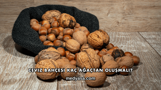 Ceviz Bahçesi Kaç Ağaçtan Oluşmalı?