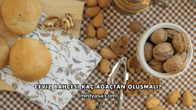 Ceviz Bahçesi Kaç Ağaçtan Oluşmalı?