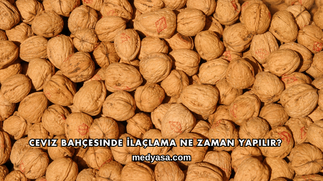Ceviz Bahçesinde İlaçlama Ne Zaman Yapılır?