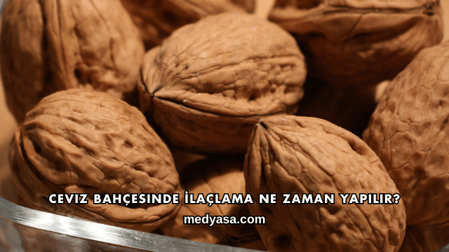 Ceviz Bahçesinde İlaçlama Ne Zaman Yapılır?