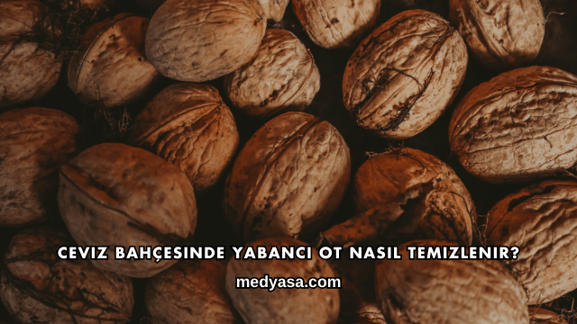 Ceviz Bahçesinde Yabancı Ot Nasıl Temizlenir?