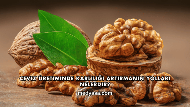 Ceviz Üretiminde Karlılığı Artırmanın Yolları Nelerdir?