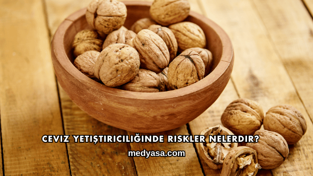 Ceviz Yetiştiriciliğinde Riskler Nelerdir?