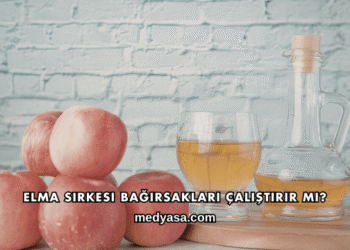 Elma Sirkesi Bağırsakları Çalıştırır mı?
