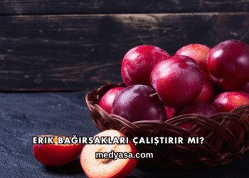 Erik Bağırsakları Çalıştırır mı?