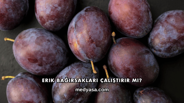 Erik Bağırsakları Çalıştırır mı?