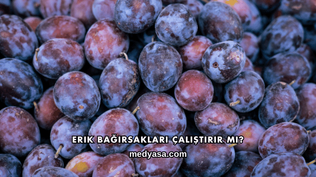 Erik Bağırsakları Çalıştırır mı?