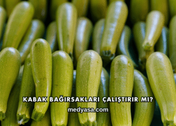 Kabak Bağırsakları Çalıştırır mı?