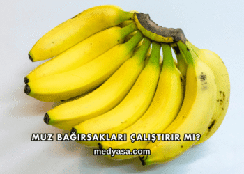 Muz Bağırsakları Çalıştırır mı?