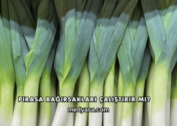 Pırasa Bağırsakları Çalıştırır mı?