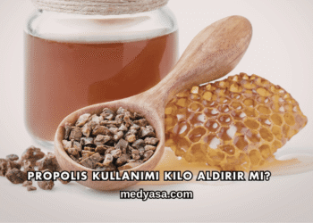 Propolis Kullanımı Kilo Aldırır mı?