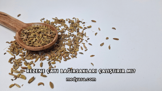 Rezene Çayı Bağırsakları Çalıştırır mı?