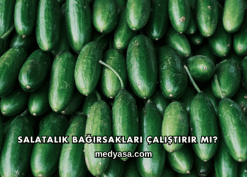 Salatalık Bağırsakları Çalıştırır mı?