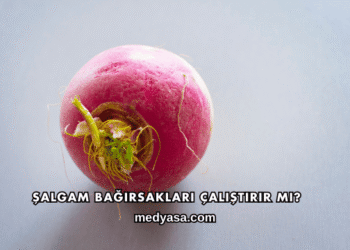 Şalgam Bağırsakları Çalıştırır mı?