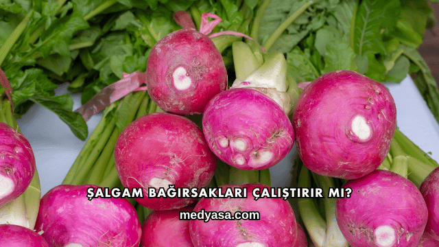 Şalgam Bağırsakları Çalıştırır mı?