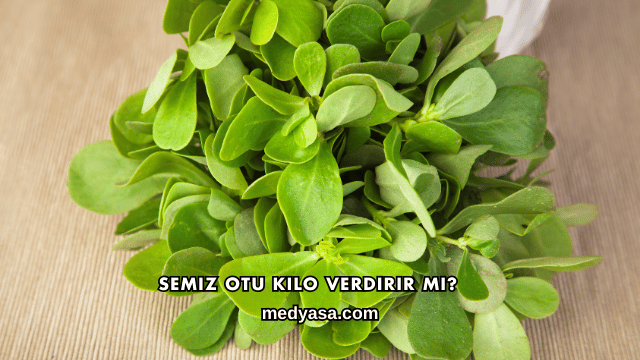 Semiz Otu Kilo Verdirir mi?