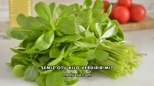Semiz Otu Kilo Verdirir mi?