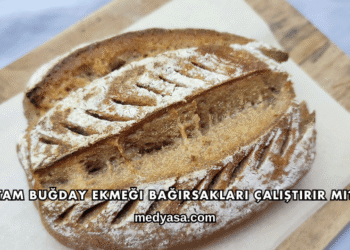 Tam Buğday Ekmeği Bağırsakları Çalıştırır mı?