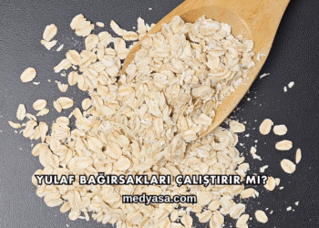 Yulaf Bağırsakları Çalıştırır mı?